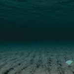 ¿A qué se denomina mar profundo? A qué se denomina mar profundo