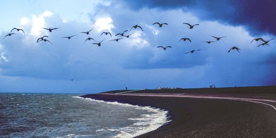 Dónde empieza el Mar Báltico y dónde acaba el Mar del Norte
