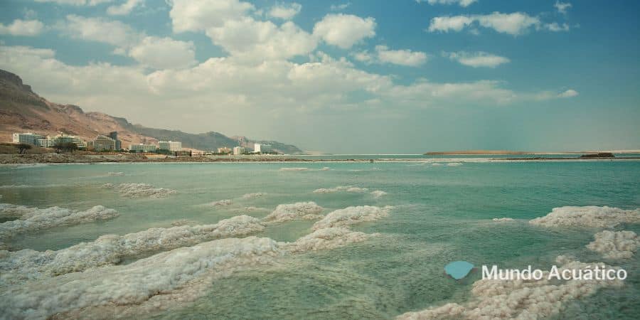 El Mar Muerto es un lago o un mar