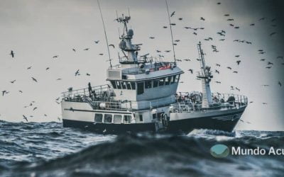 Mar del Norte: Sus principales características