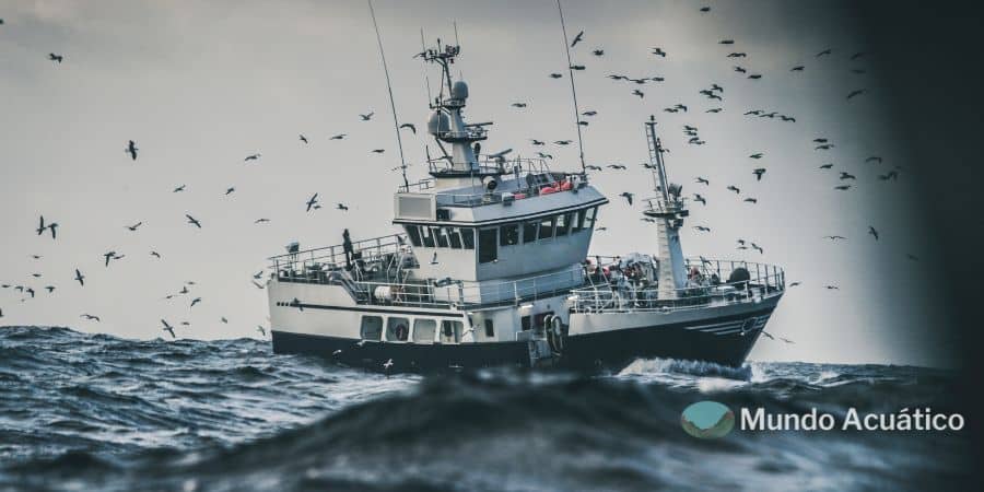 Mar del Norte Sus principales características
