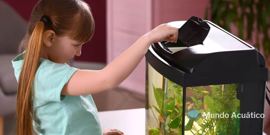 Nutrición adecuada para peces de acuario
