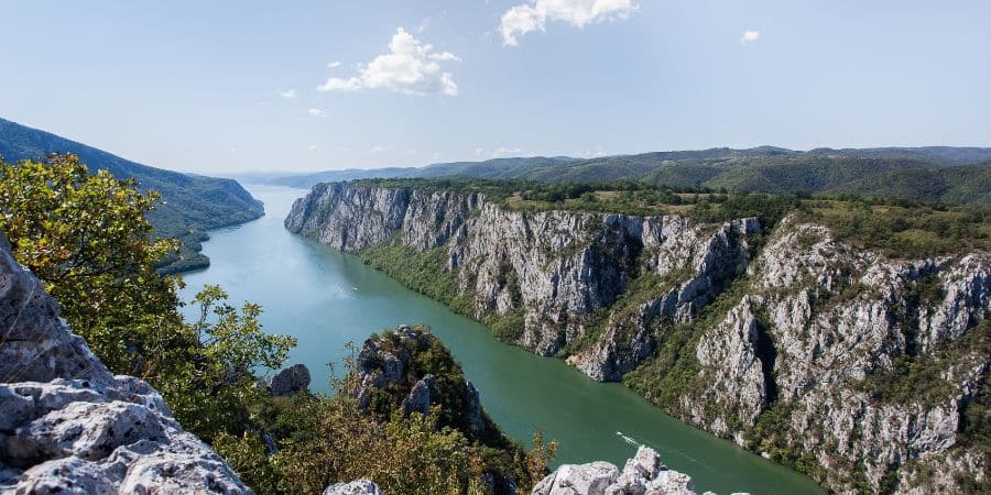 Qué criaturas hay en el Danubio