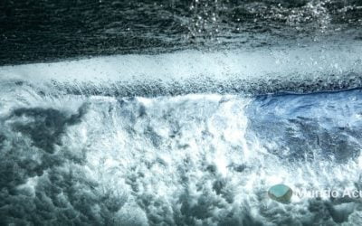 ¿Cuáles son los tipos de corrientes oceánicas?