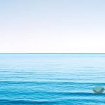 ¿Qué océano es el más grande de la tierra? ¿Qué océano es el más grande de la tierra