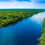 ¿Cuál es el río más largo del mundo? rio mas largo del mundo