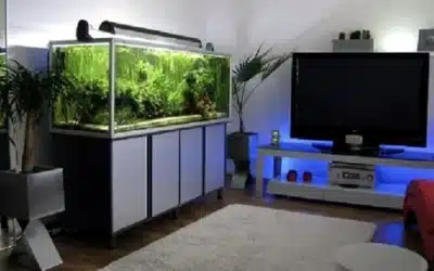 Beneficios de instalar un acuario en casa