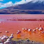 Lago Natron lago natron
