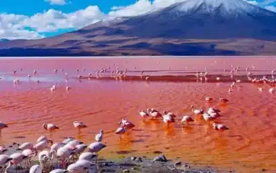 Lago Natron